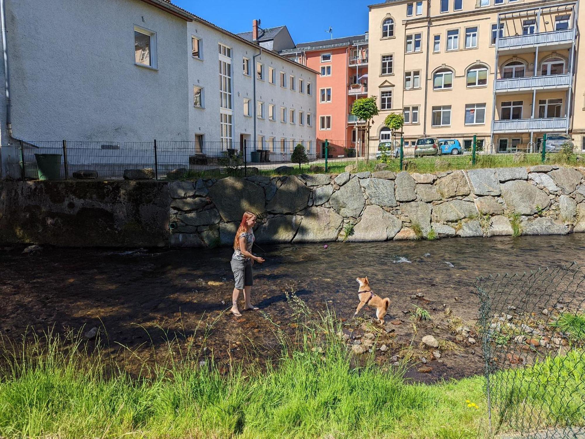 Famzi - Urlaubsmagie - Familienwohnung Mit Gemeinschaftsgarten, -Sauna & -Pool Sebnitz Exterior foto